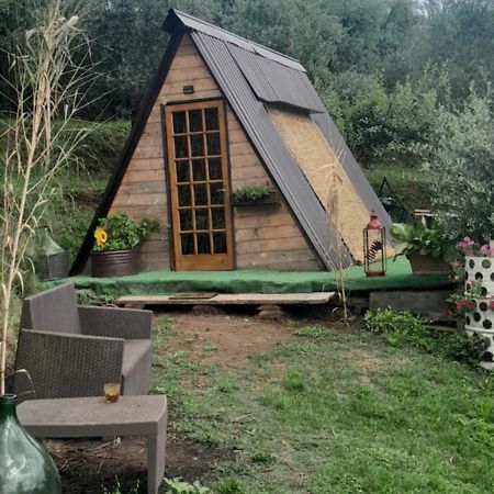 La Fatina Lodge Barga Ngoại thất bức ảnh
