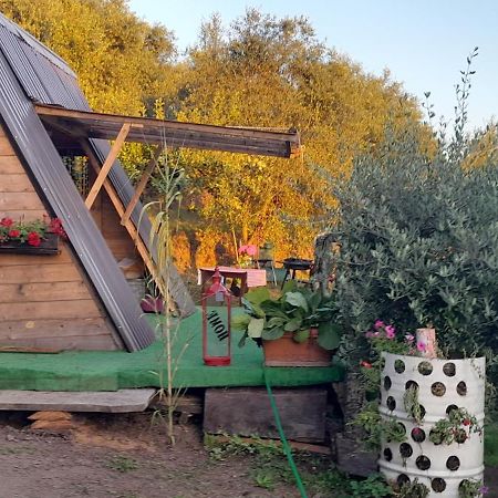 La Fatina Lodge Barga Ngoại thất bức ảnh