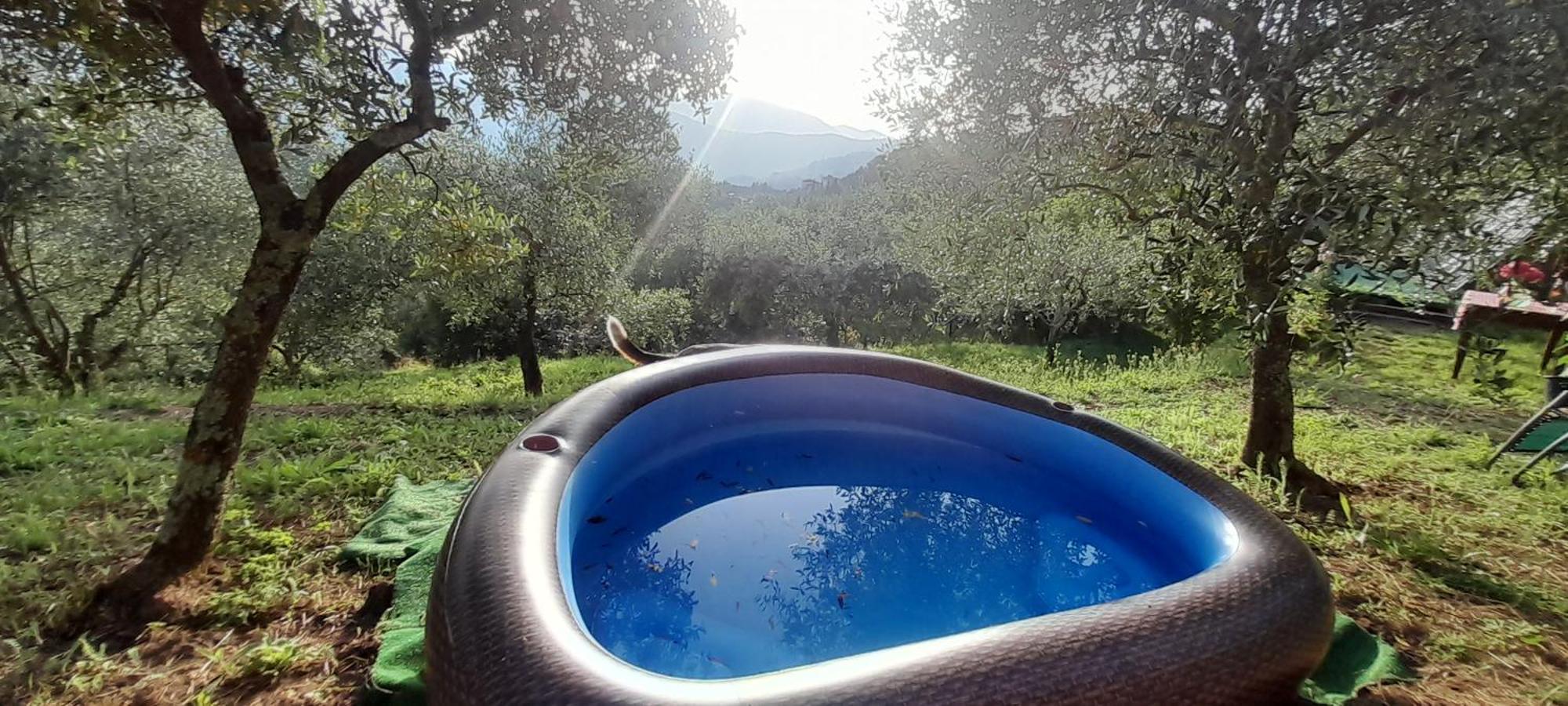 La Fatina Lodge Barga Ngoại thất bức ảnh