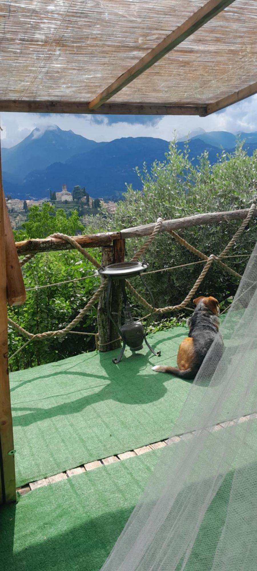 La Fatina Lodge Barga Ngoại thất bức ảnh